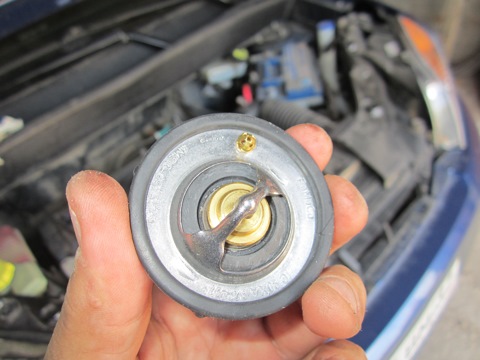Как заменить термостат Ford Fusion своими руками - подробный фотоотчет