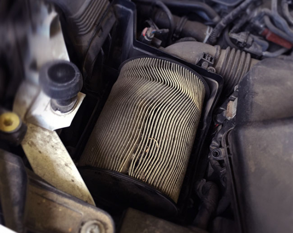 Подробный фотоотчет о том, как заменить воздушный фильтр в автомобиле Ford Cougar 2