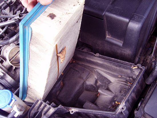Очистка сальника дроссельной заслонки и замена воздушного фильтра Ford Mondeo IV